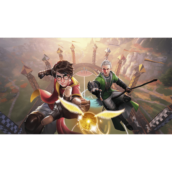 Jogo Harry Potter: Campeões do Quadribol - PS5