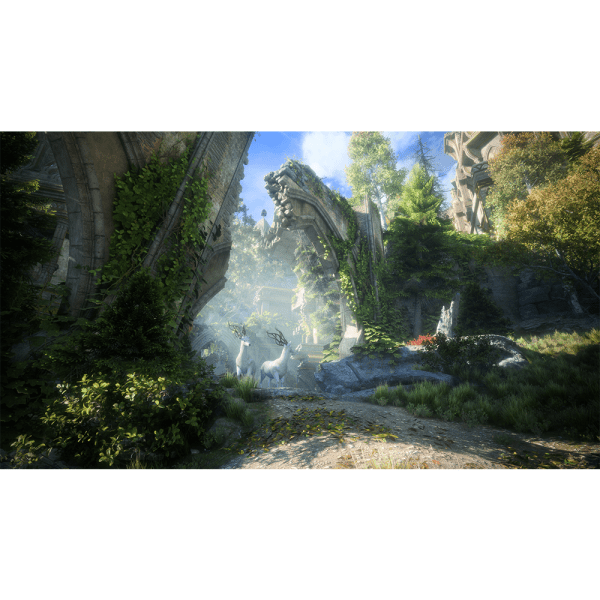 Jogo Dragon Age: The Veilguard - PS5