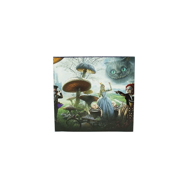 Jogo Alice In Wonderland - Nintendo DS (Usado)