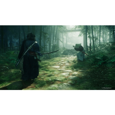 Jogo A ascensão do Ronin - PS5