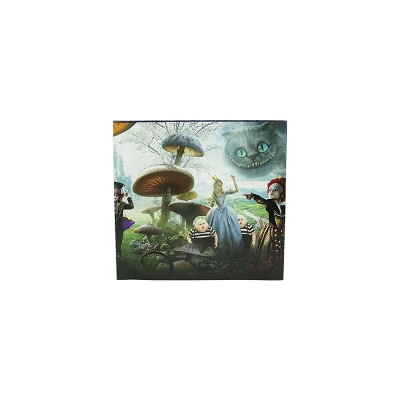 Jogo Alice In Wonderland - Nintendo DS (Usado)